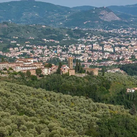 Il Belvedere Di Gino Pescia